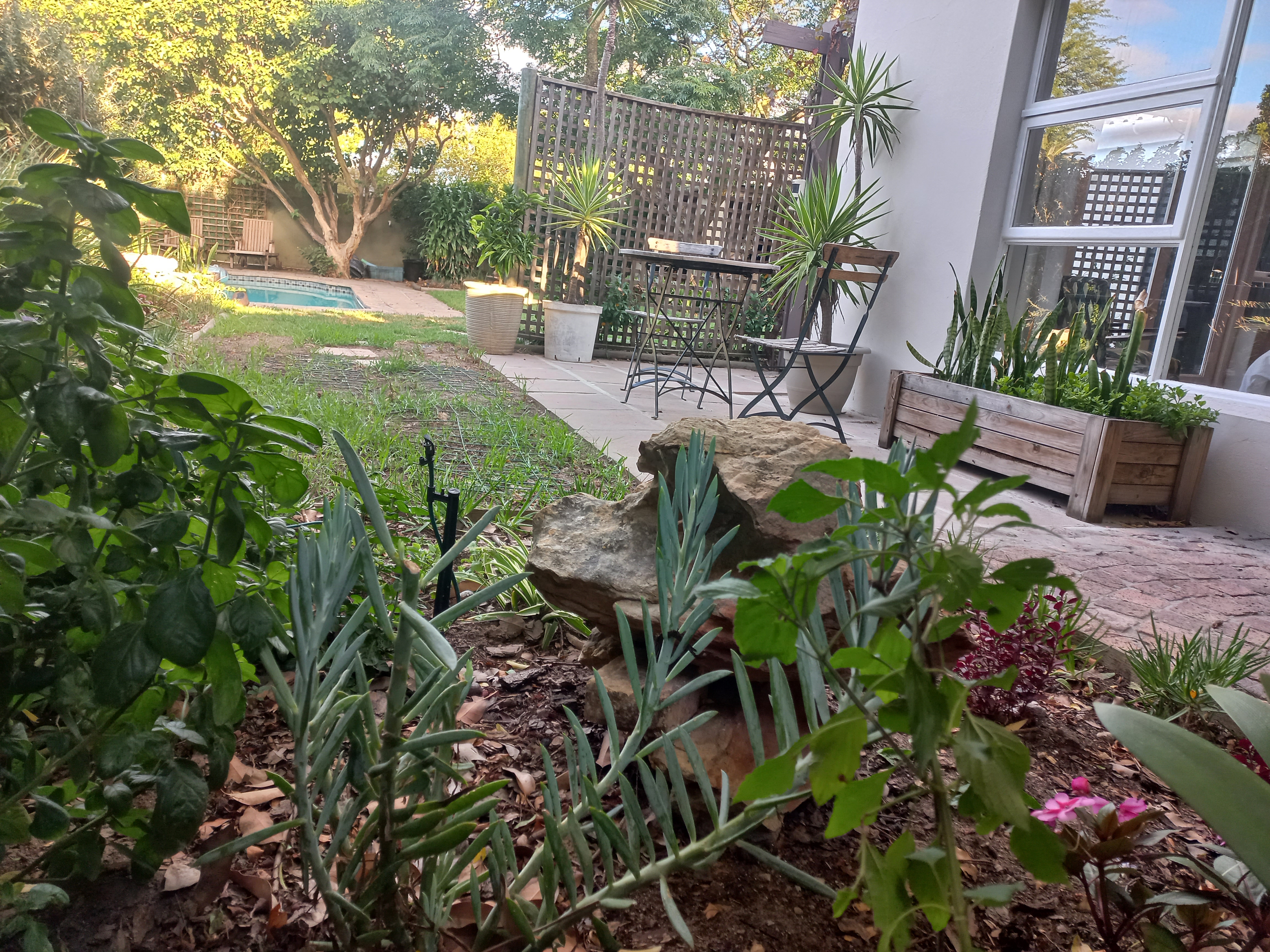Private garden with lush plants and swimming pool